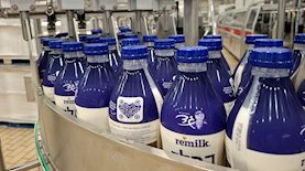 חלב חדש מחלבות גד, צילום: יחצ